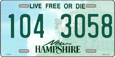 NH license plate 1043058
