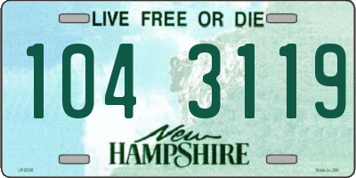 NH license plate 1043119