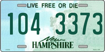 NH license plate 1043373