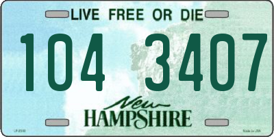 NH license plate 1043407