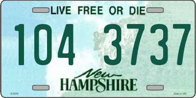 NH license plate 1043737