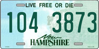 NH license plate 1043873