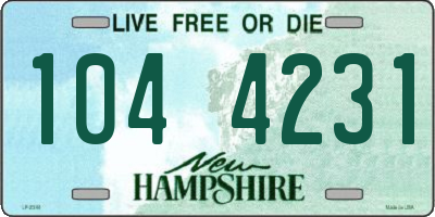 NH license plate 1044231
