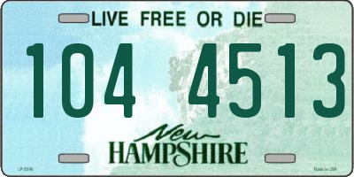 NH license plate 1044513