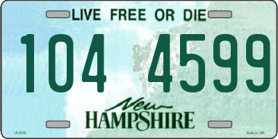 NH license plate 1044599