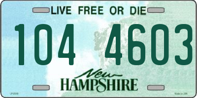 NH license plate 1044603