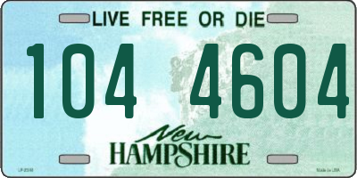 NH license plate 1044604