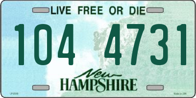 NH license plate 1044731