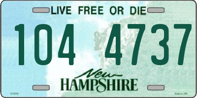 NH license plate 1044737
