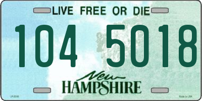 NH license plate 1045018