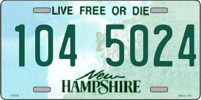 NH license plate 1045024