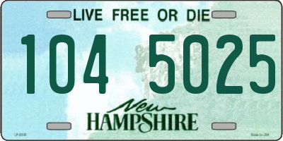 NH license plate 1045025