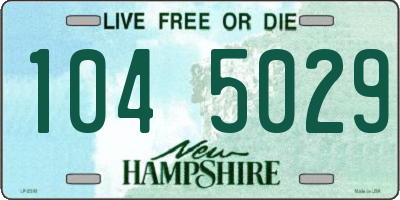 NH license plate 1045029