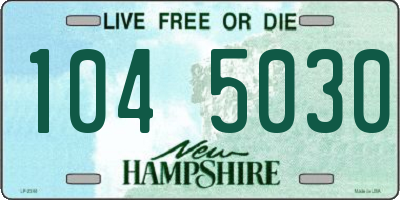 NH license plate 1045030