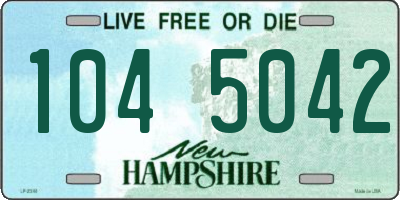 NH license plate 1045042