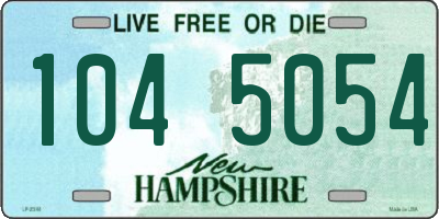 NH license plate 1045054