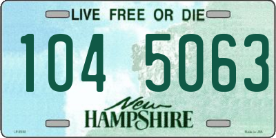 NH license plate 1045063