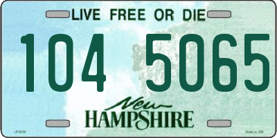 NH license plate 1045065