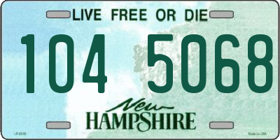 NH license plate 1045068