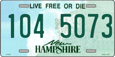 NH license plate 1045073