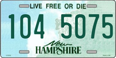 NH license plate 1045075