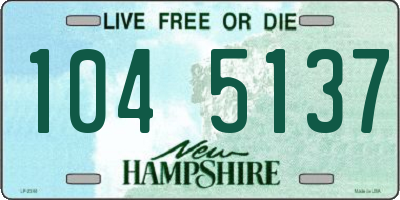 NH license plate 1045137
