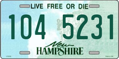 NH license plate 1045231
