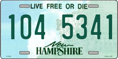 NH license plate 1045341
