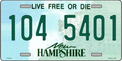 NH license plate 1045401