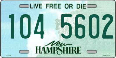 NH license plate 1045602