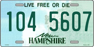 NH license plate 1045607