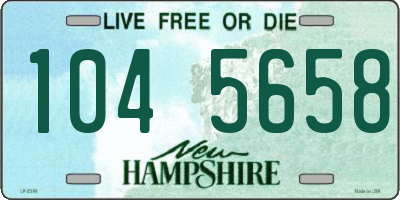 NH license plate 1045658
