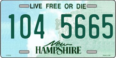 NH license plate 1045665