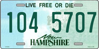NH license plate 1045707