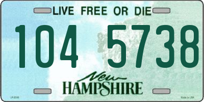 NH license plate 1045738