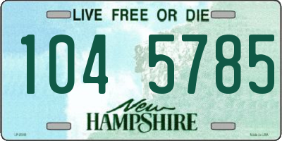 NH license plate 1045785