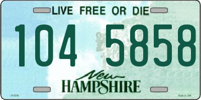 NH license plate 1045858