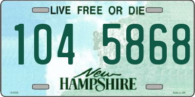 NH license plate 1045868