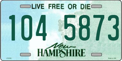 NH license plate 1045873