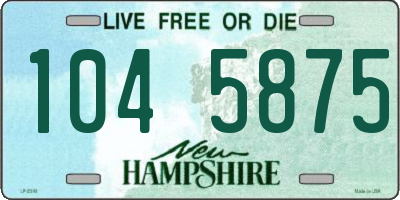 NH license plate 1045875