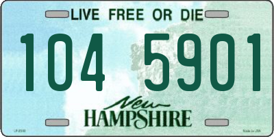NH license plate 1045901