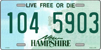 NH license plate 1045903