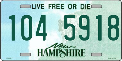 NH license plate 1045918
