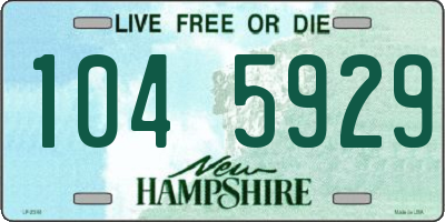 NH license plate 1045929