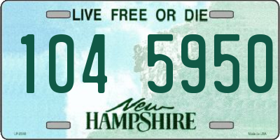 NH license plate 1045950