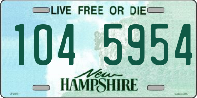 NH license plate 1045954