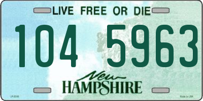 NH license plate 1045963