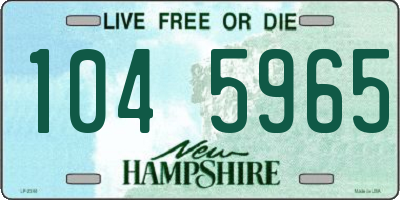 NH license plate 1045965