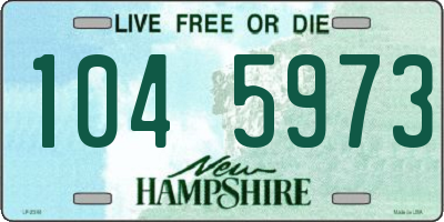 NH license plate 1045973