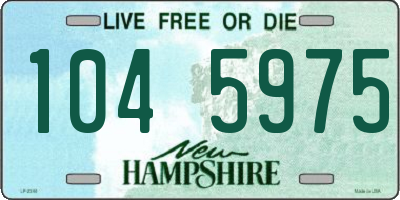 NH license plate 1045975